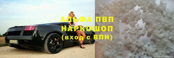 прущие грибы Аркадак
