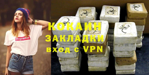 прущие грибы Аркадак