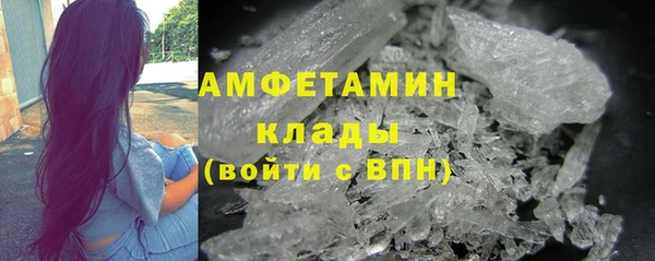 прущие грибы Аркадак