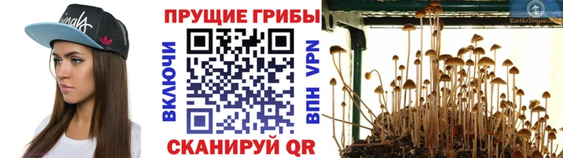 даркнет сайт Себеж Галлюциногенные грибы ЛСД
